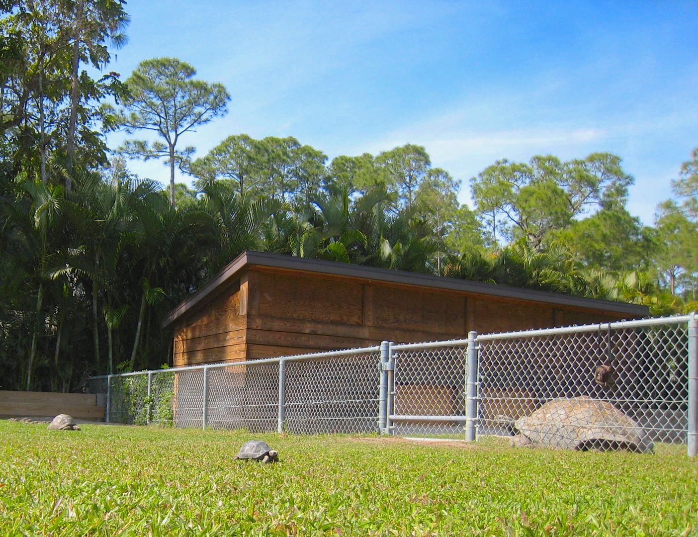 ALDABRA BREEDER