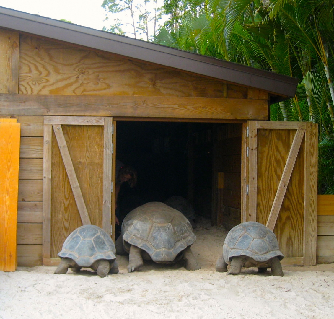 ALDABRA BREEDER