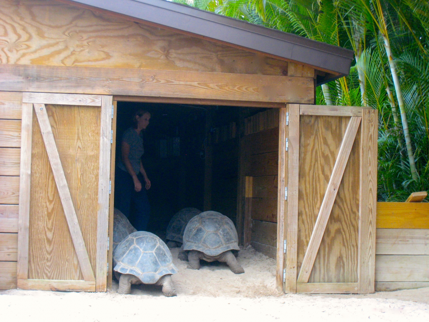 ALDABRA BREEDER