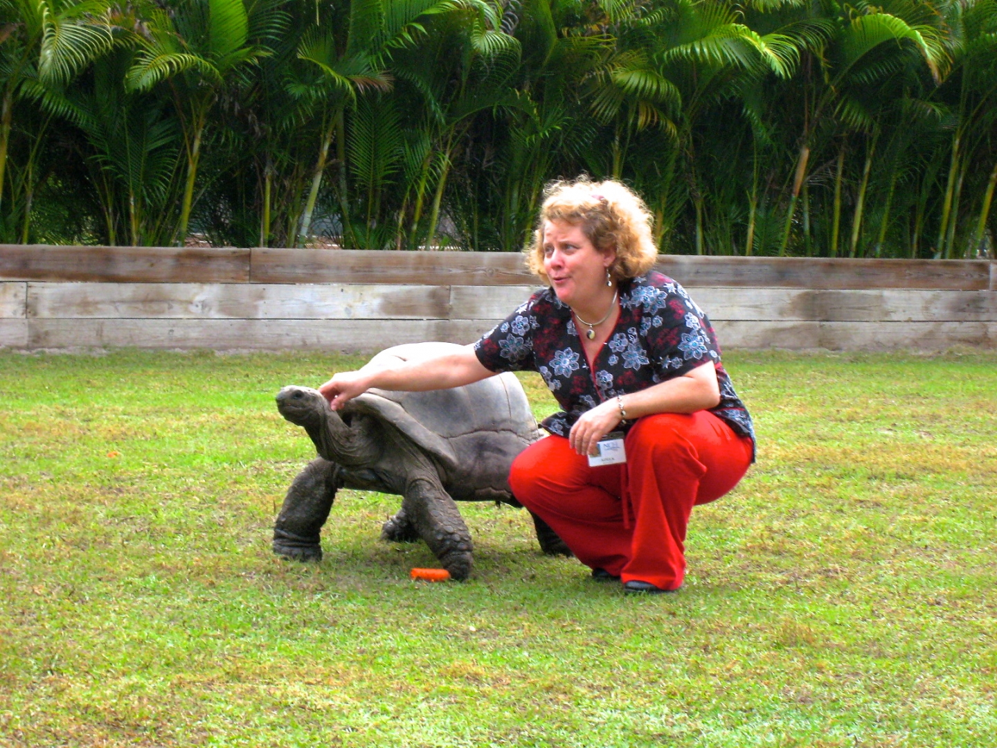 ALDABRA BREEDER