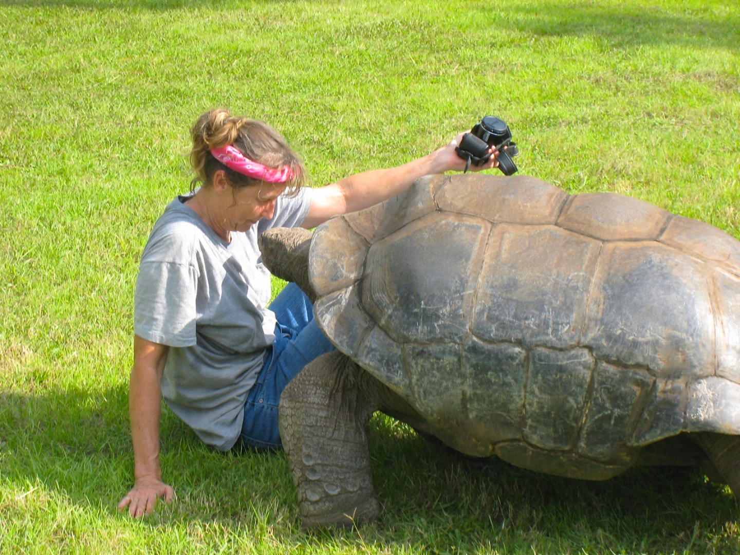 ALDABRA BREEDER