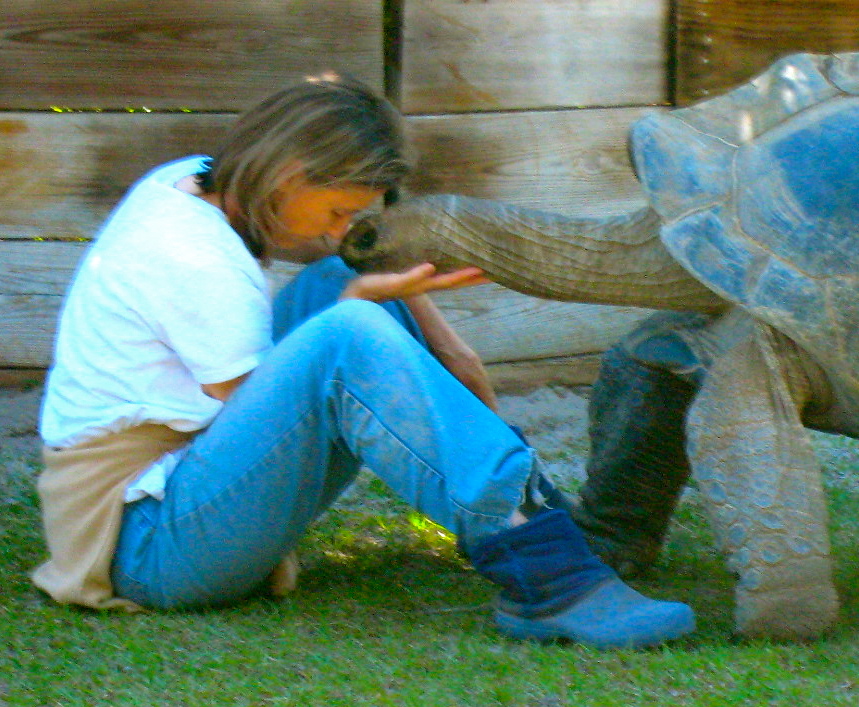 ALDABRA BREEDER