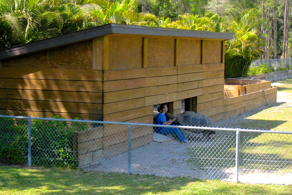 ALDABRA BREEDER