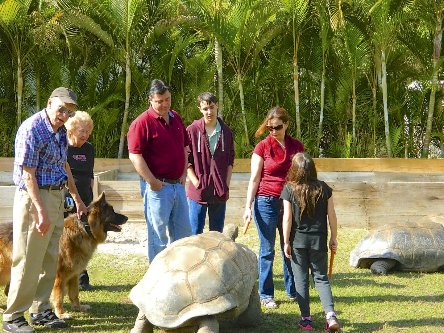 ALDABRA BREEDER