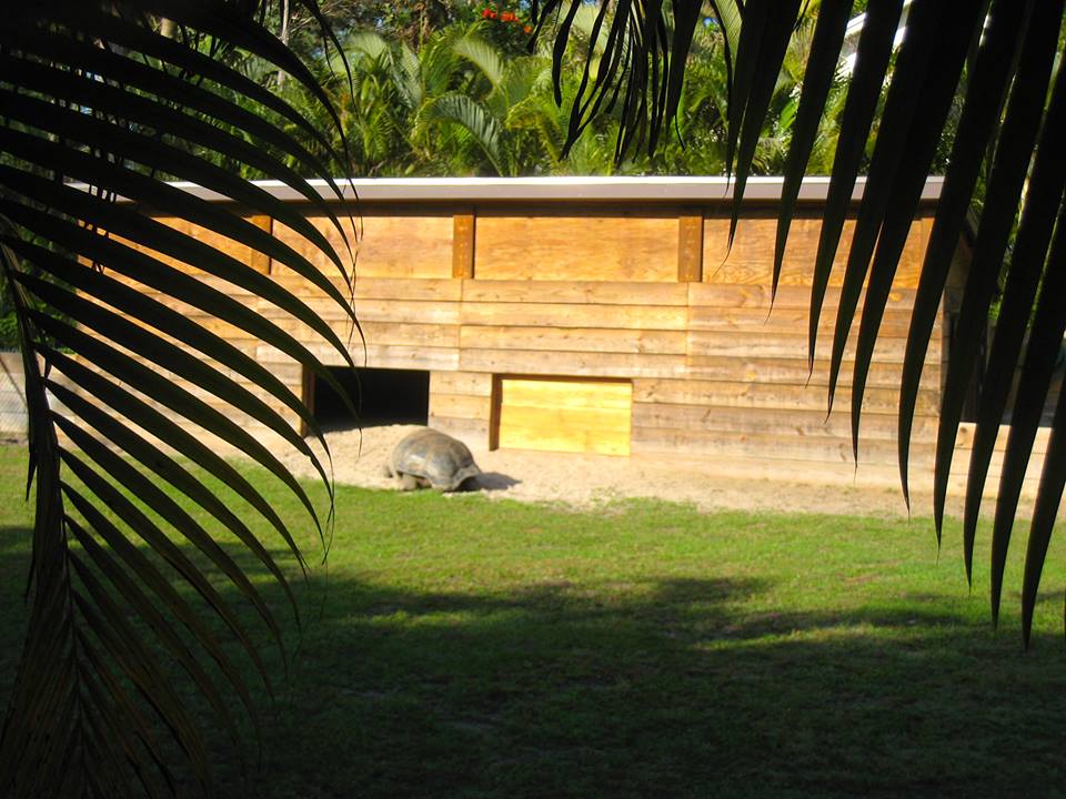 ALDABRA BREEDER