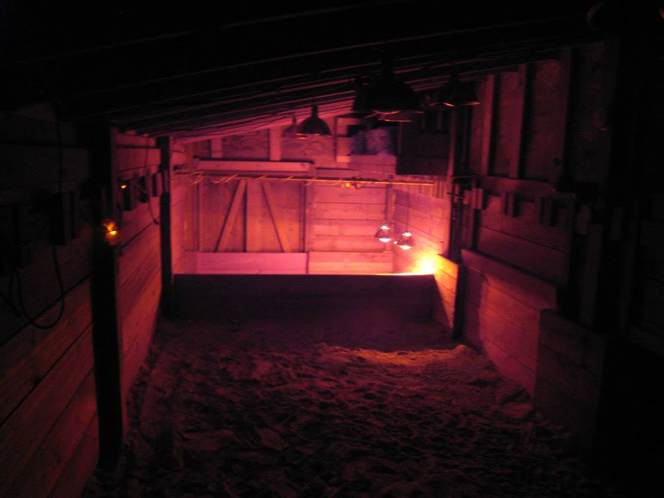 ALDABRA BREEDER