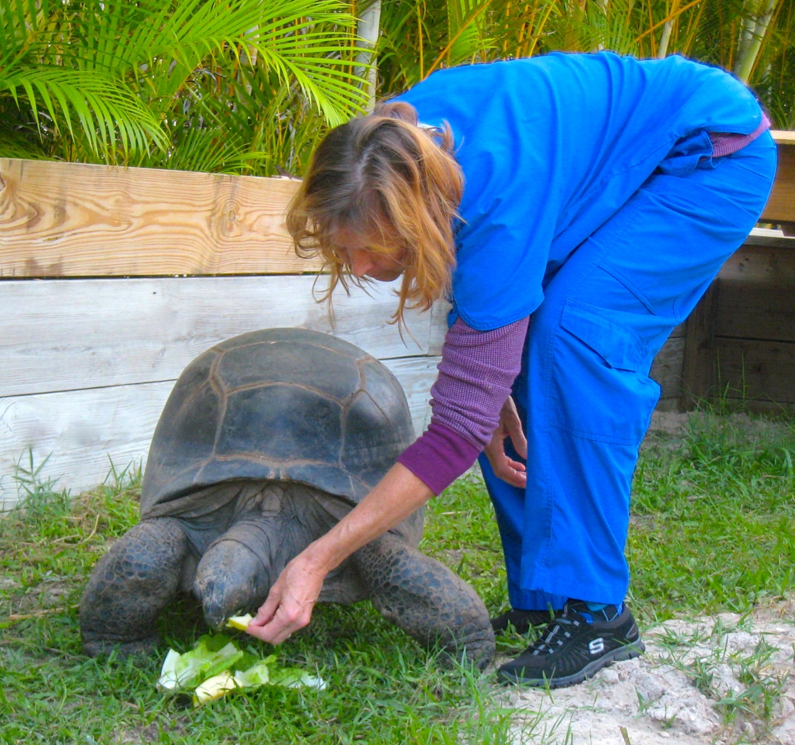 ALDABRA BREEDER