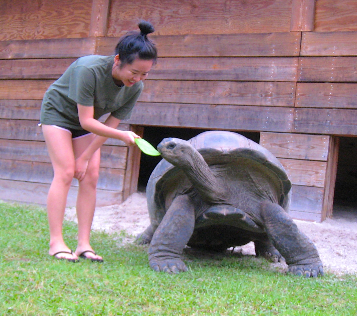 ALDABRA BREEDER