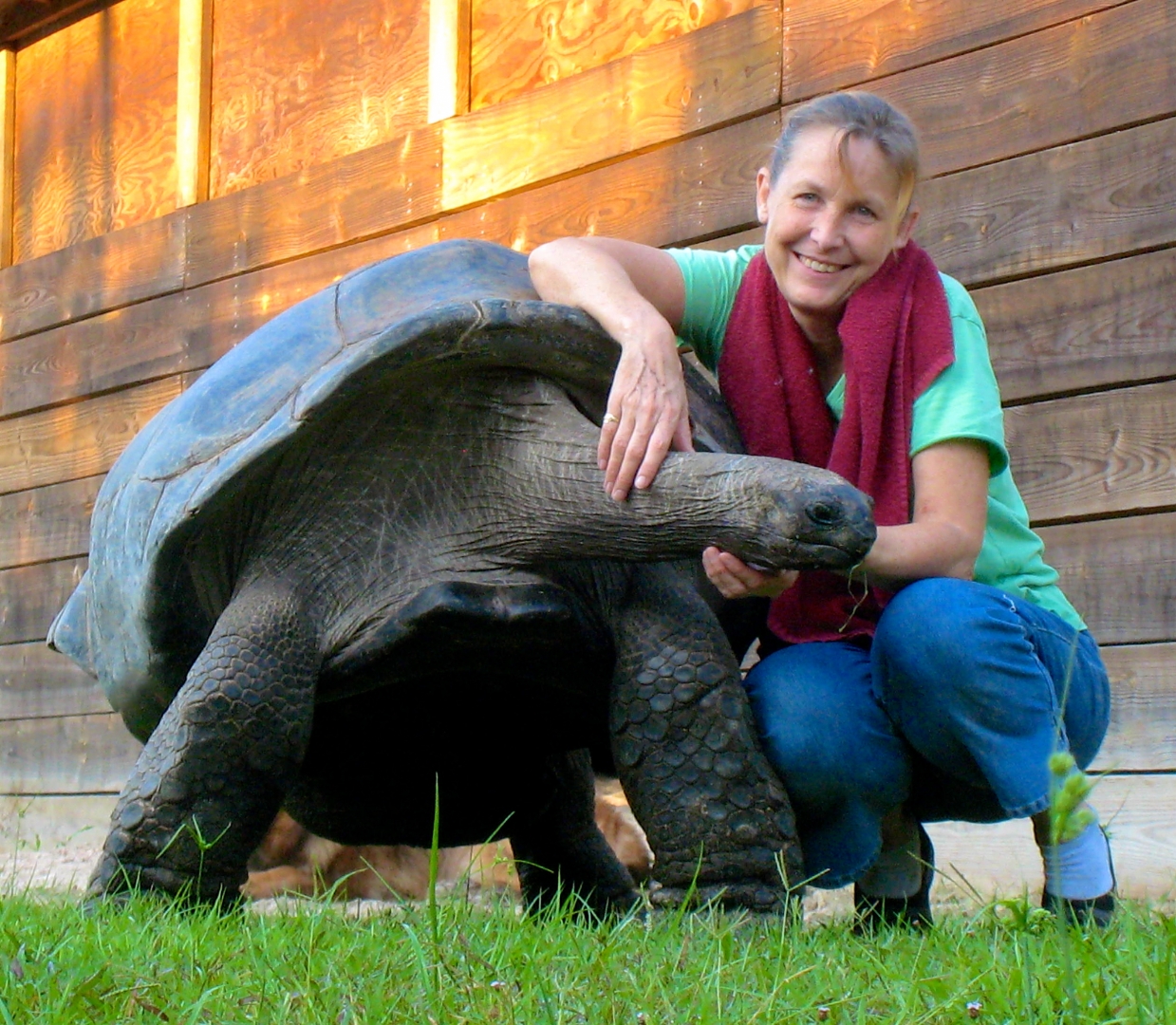 ALDABRA BREEDER