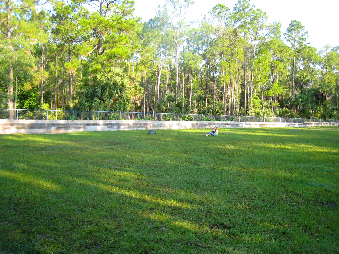 ALDABRA BREEDER