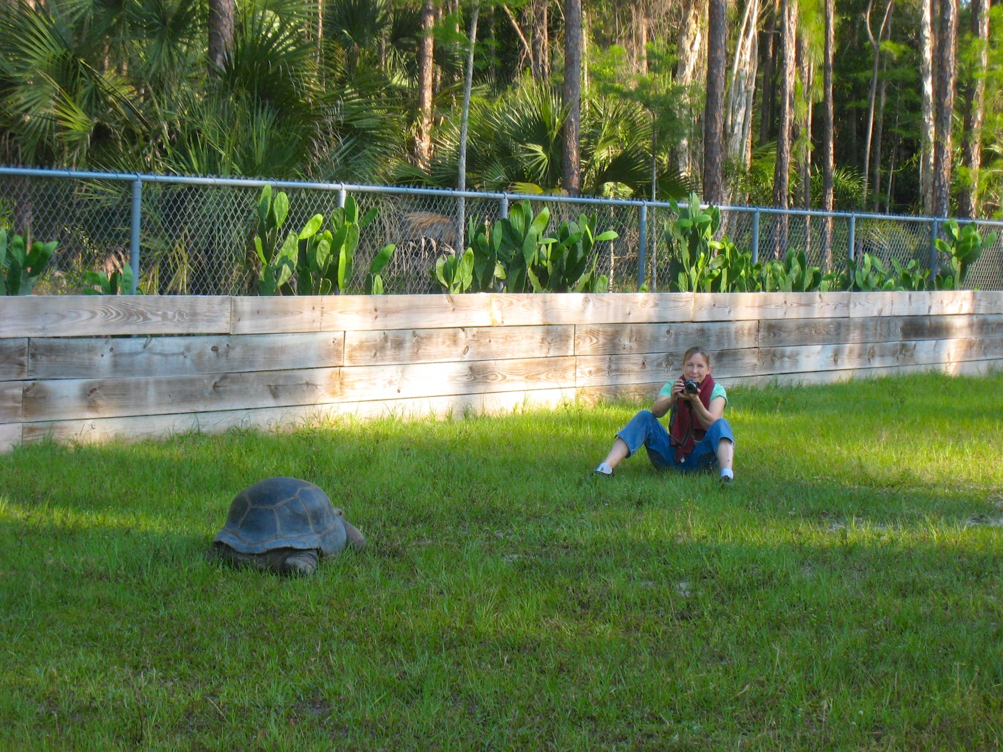 ALDABRA BREEDER