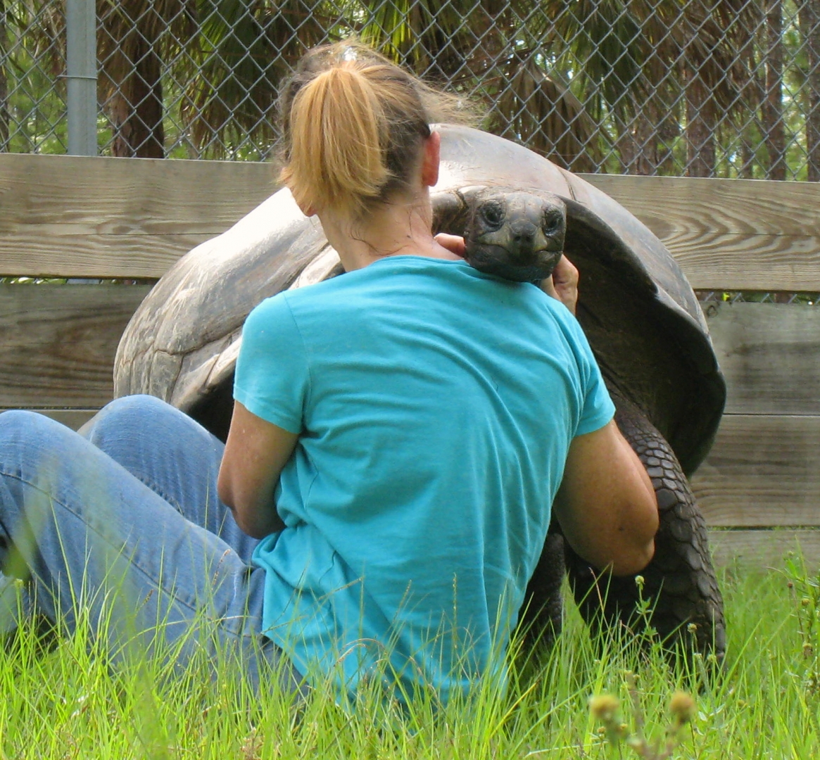 ALDABRA BREEDER