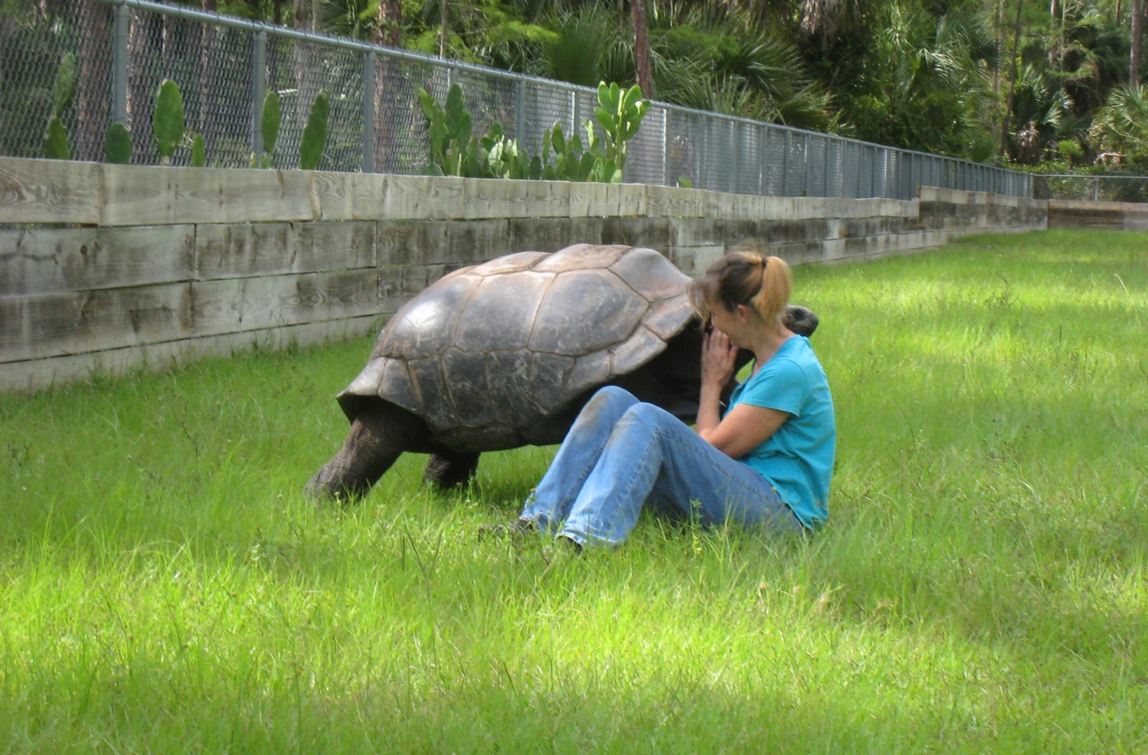 ALDABRA BREEDER