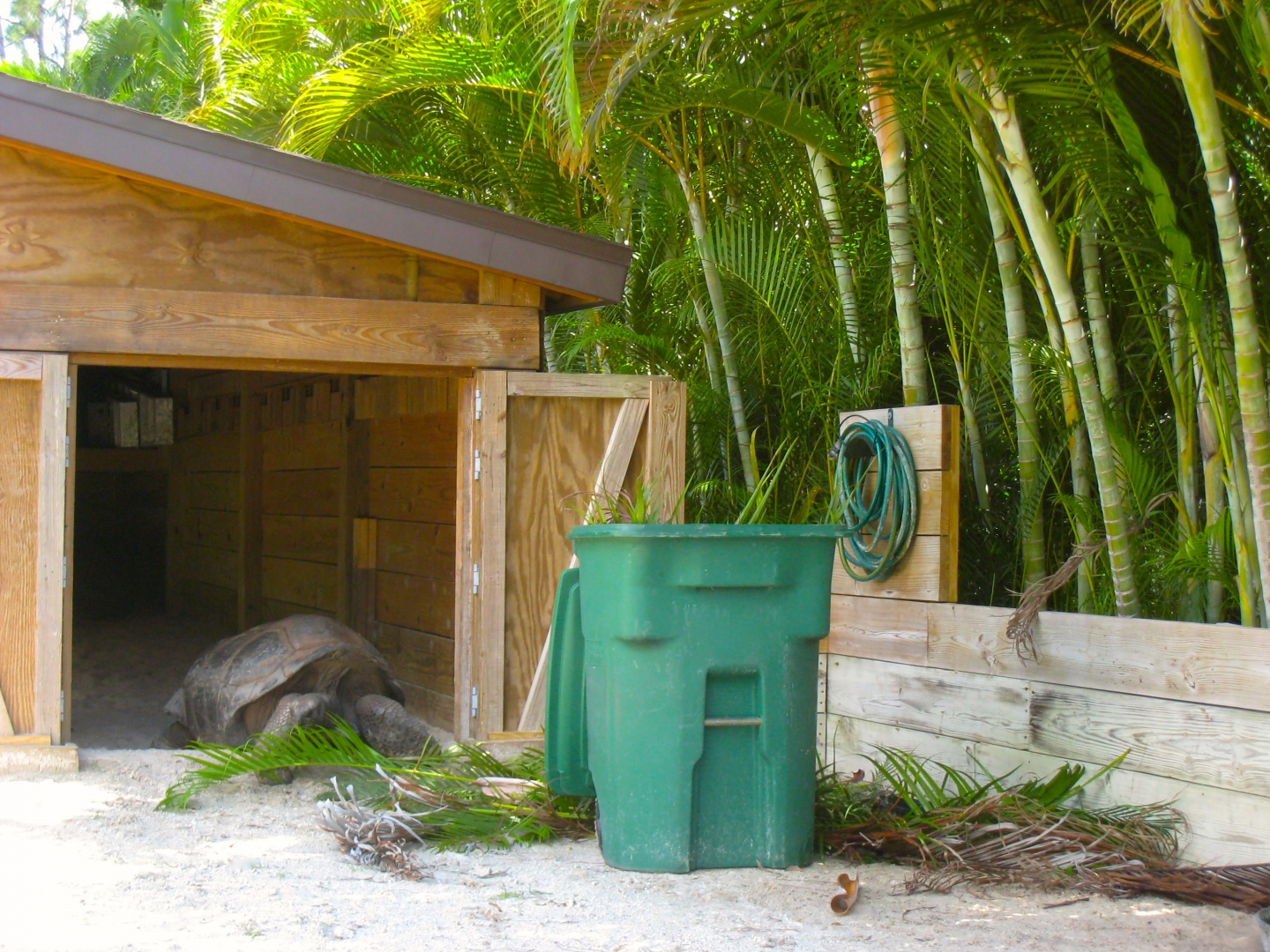 ALDABRA BREEDER