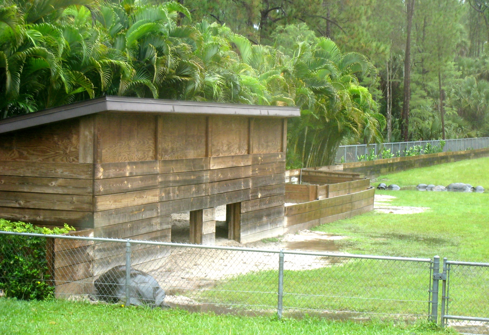 ALDABRA BREEDER