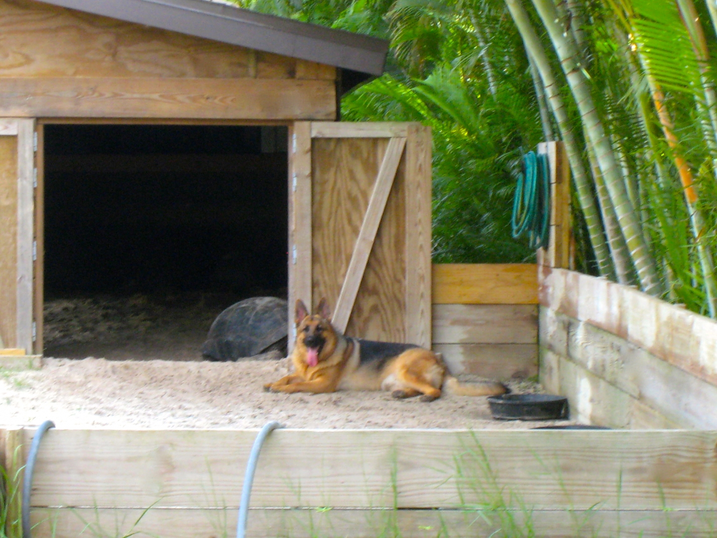 ALDABRA BREEDER