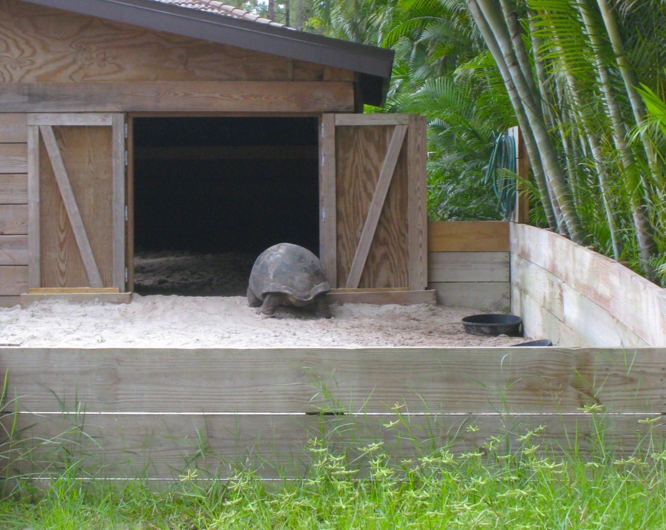 ALDABRA BREEDER