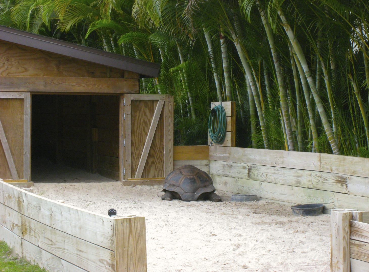 ALDABRA BREEDER