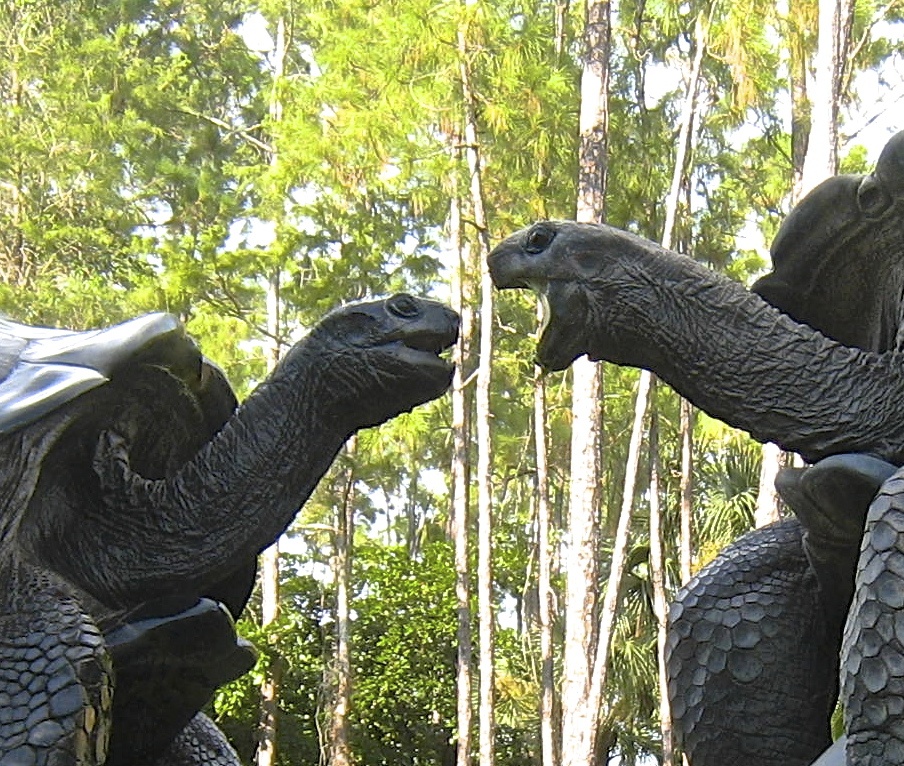 ALDABRA BREEDER