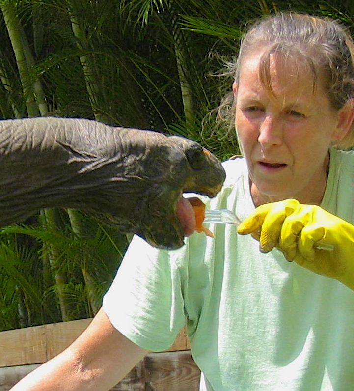 ALDABRA BREEDER