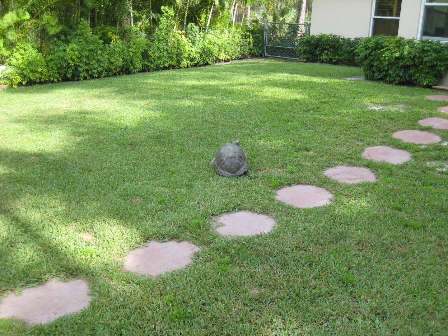 ALDABRA BREEDER