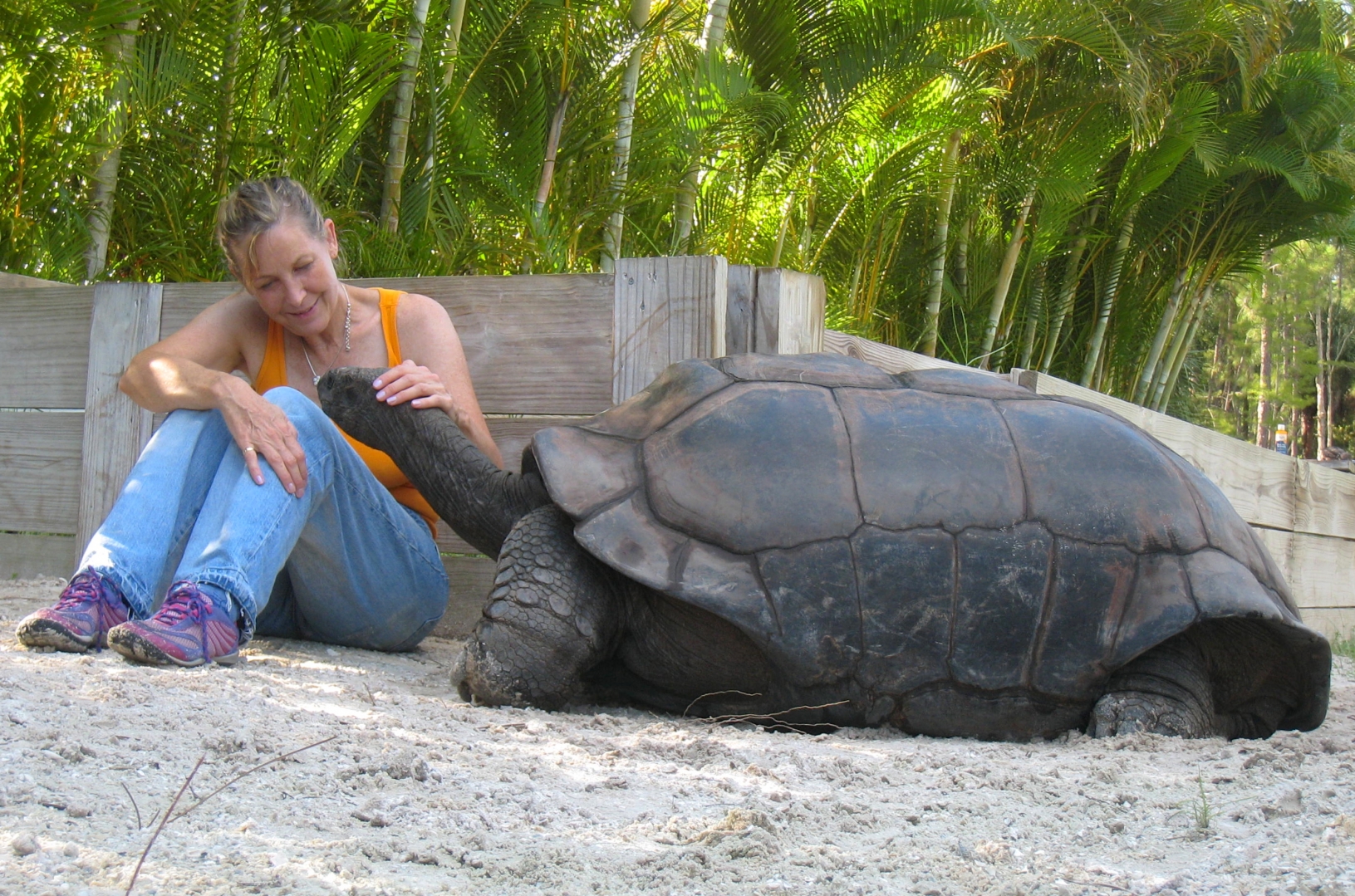 ALDABRA BREEDER