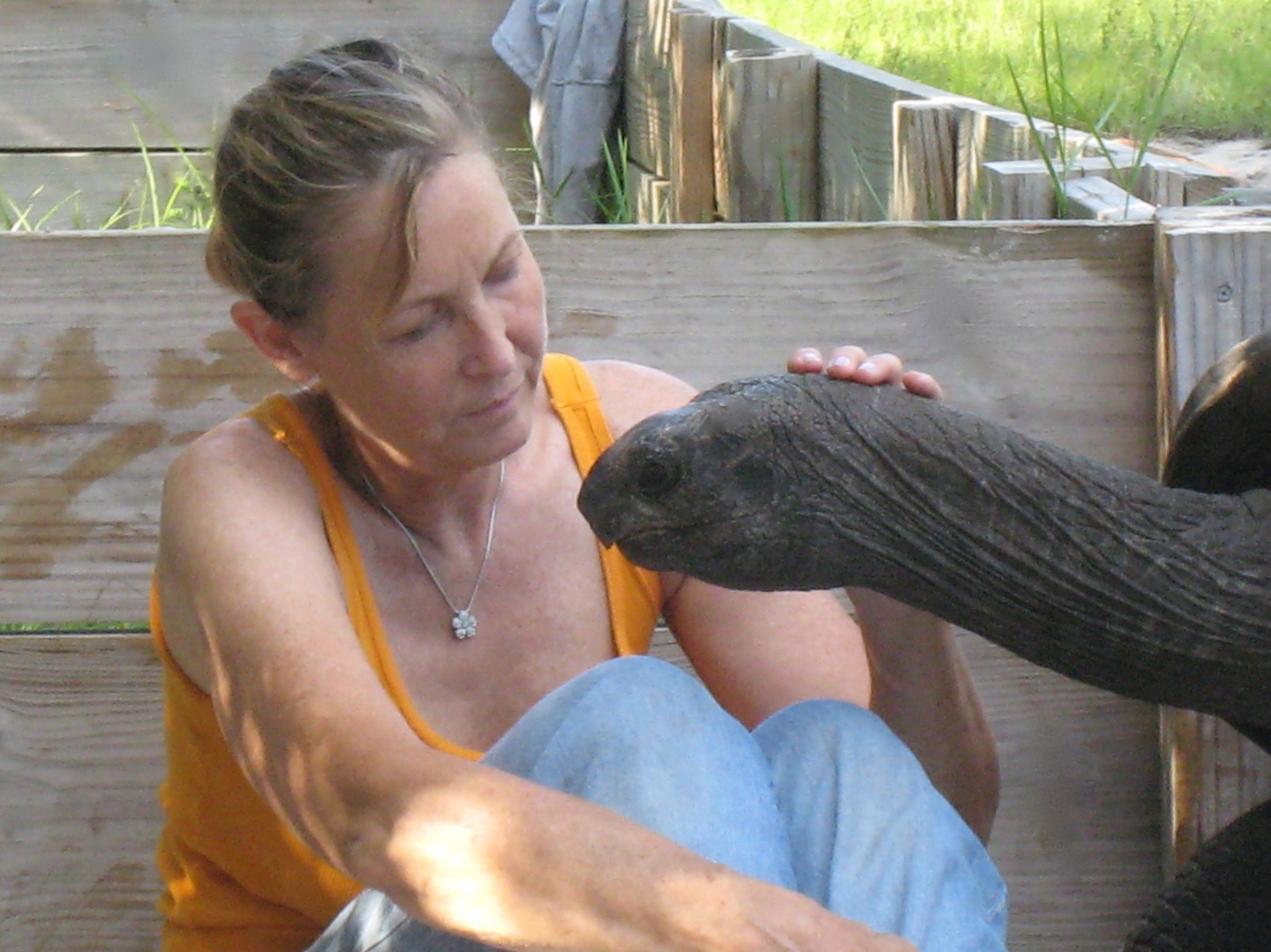 ALDABRA BREEDER