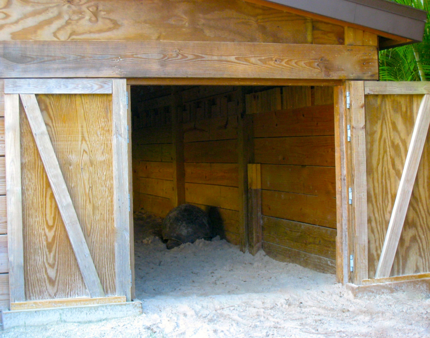 ALDABRA BREEDER