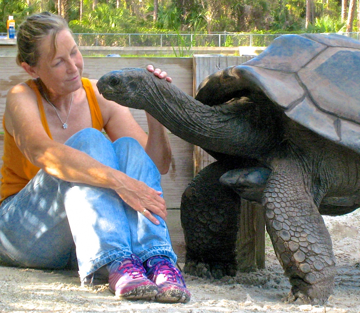 ALDABRA BREEDER