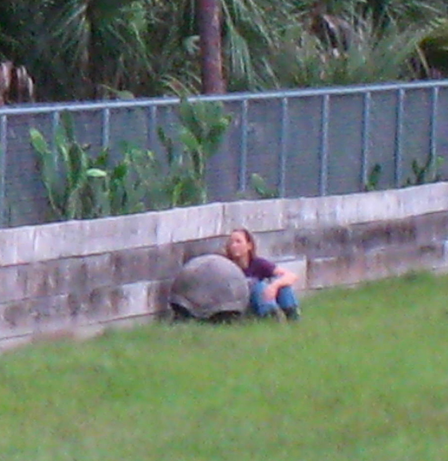 ALDABRA BREEDER