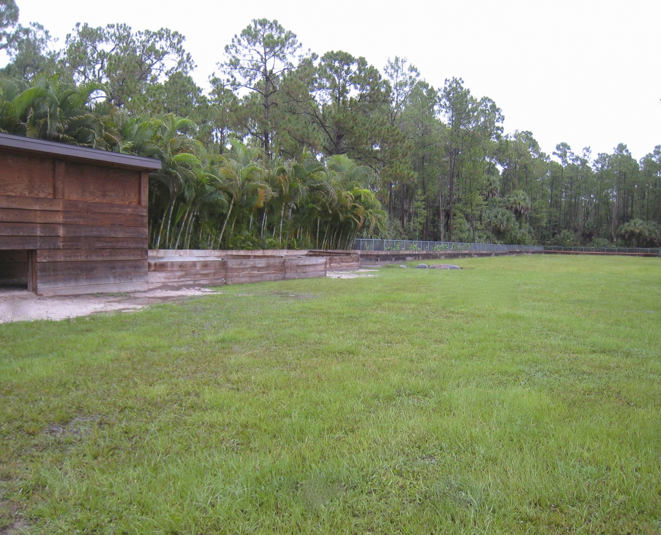 ALDABRA BREEDER