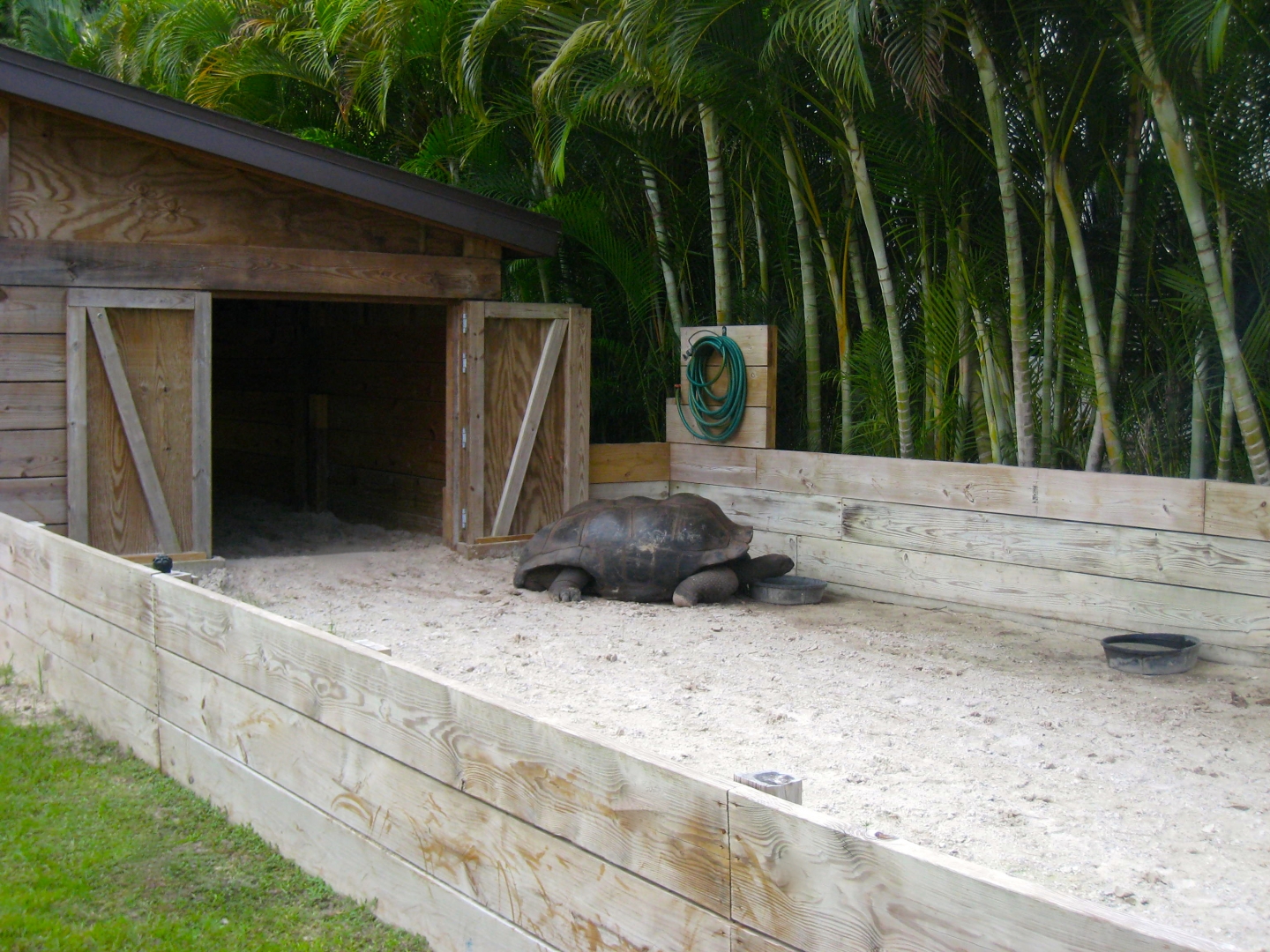 ALDABRA BREEDER
