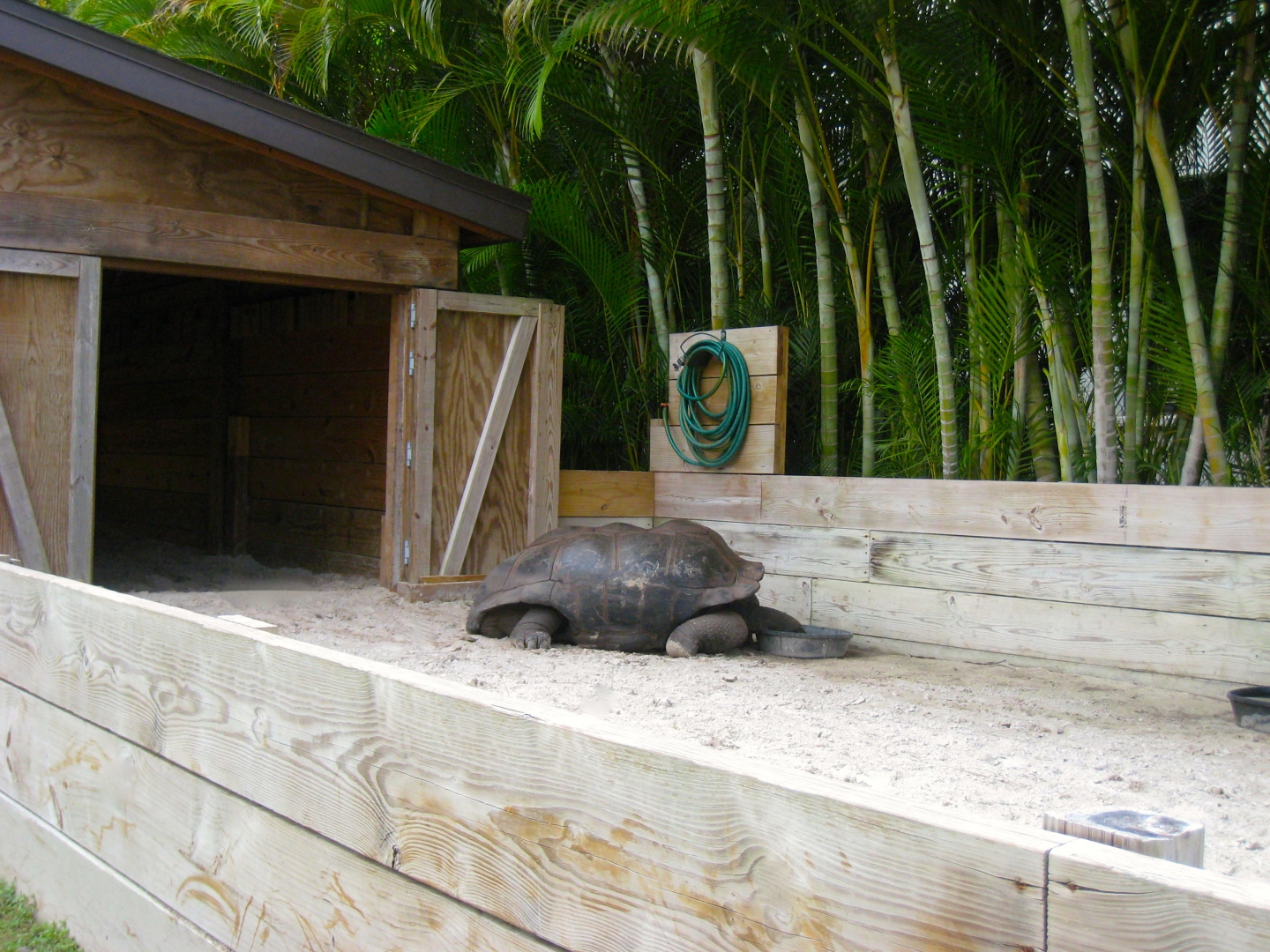 ALDABRA BREEDER