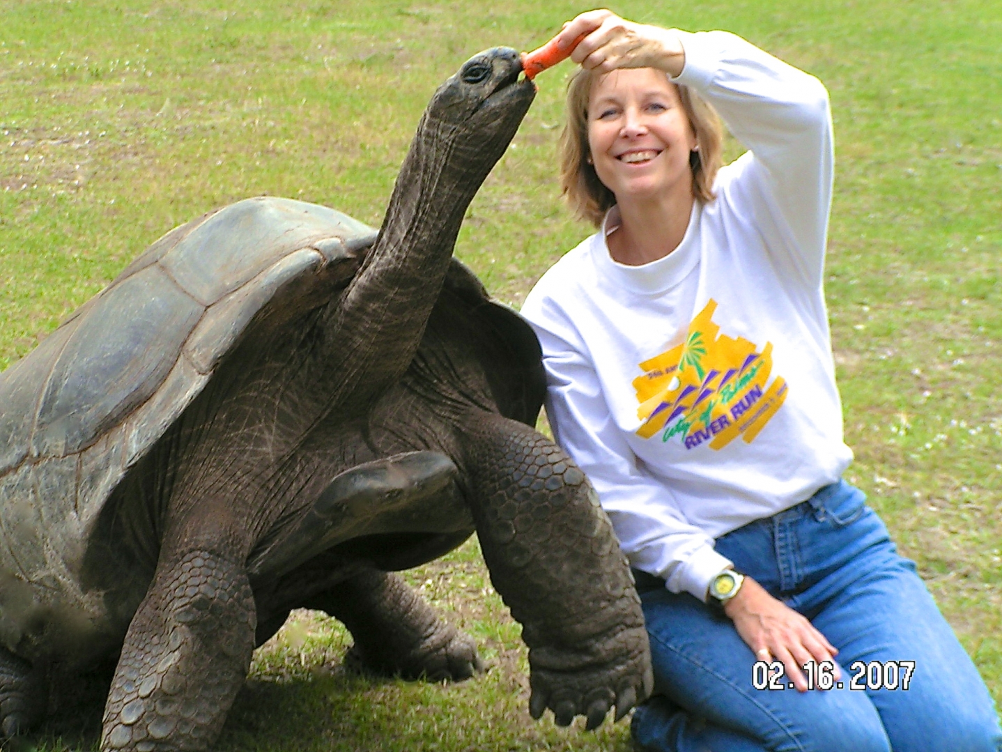 ALDABRA BREEDER