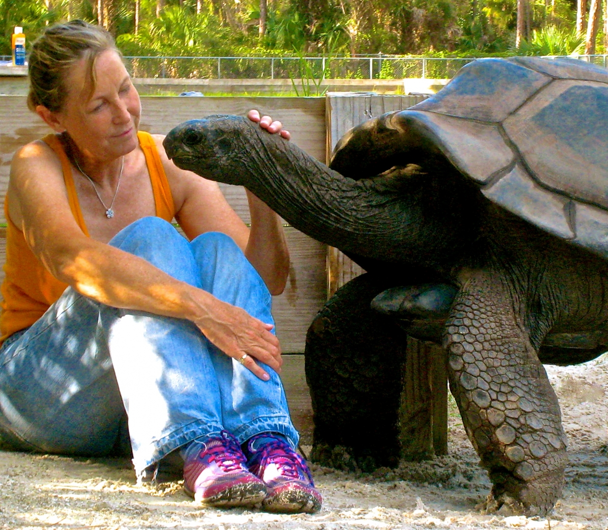 ALDABRA BREEDER