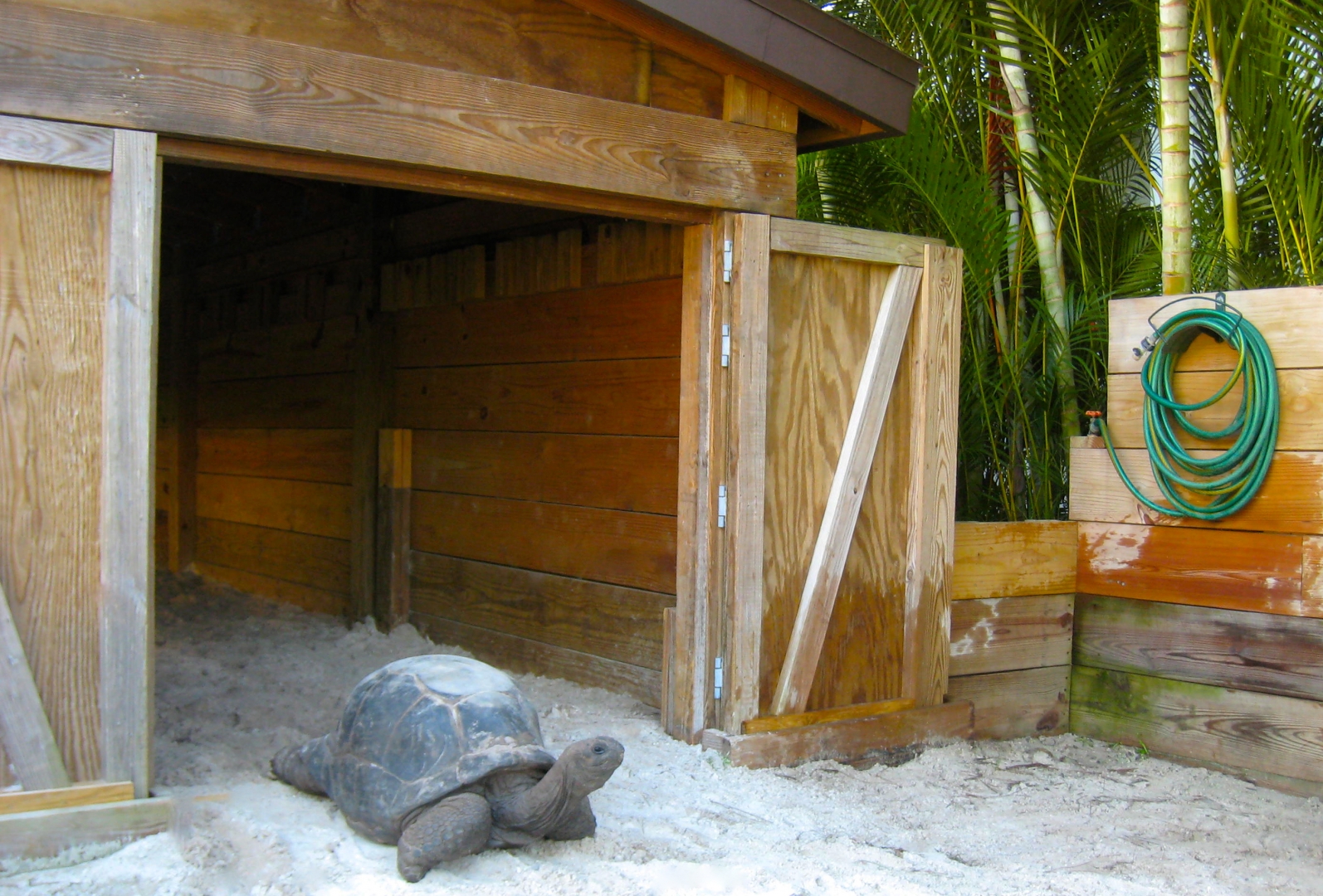 ALDABRA BREEDER
