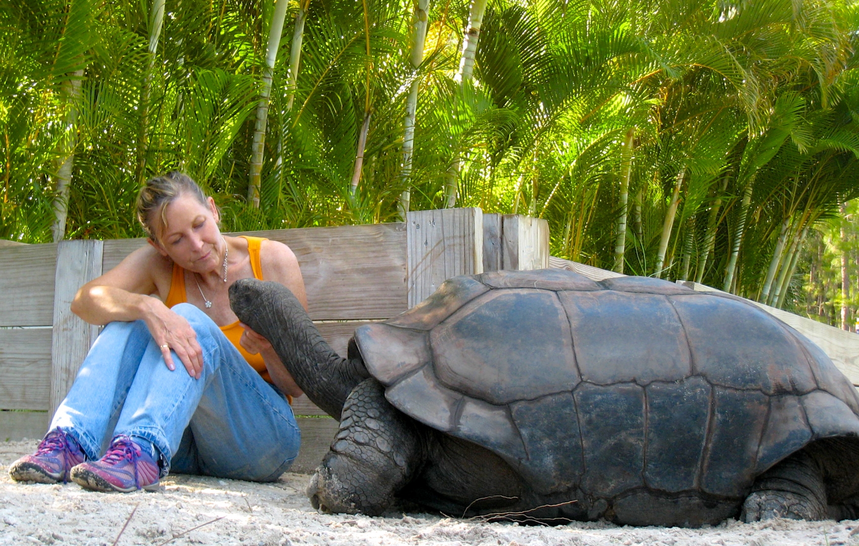 ALDABRA BREEDER