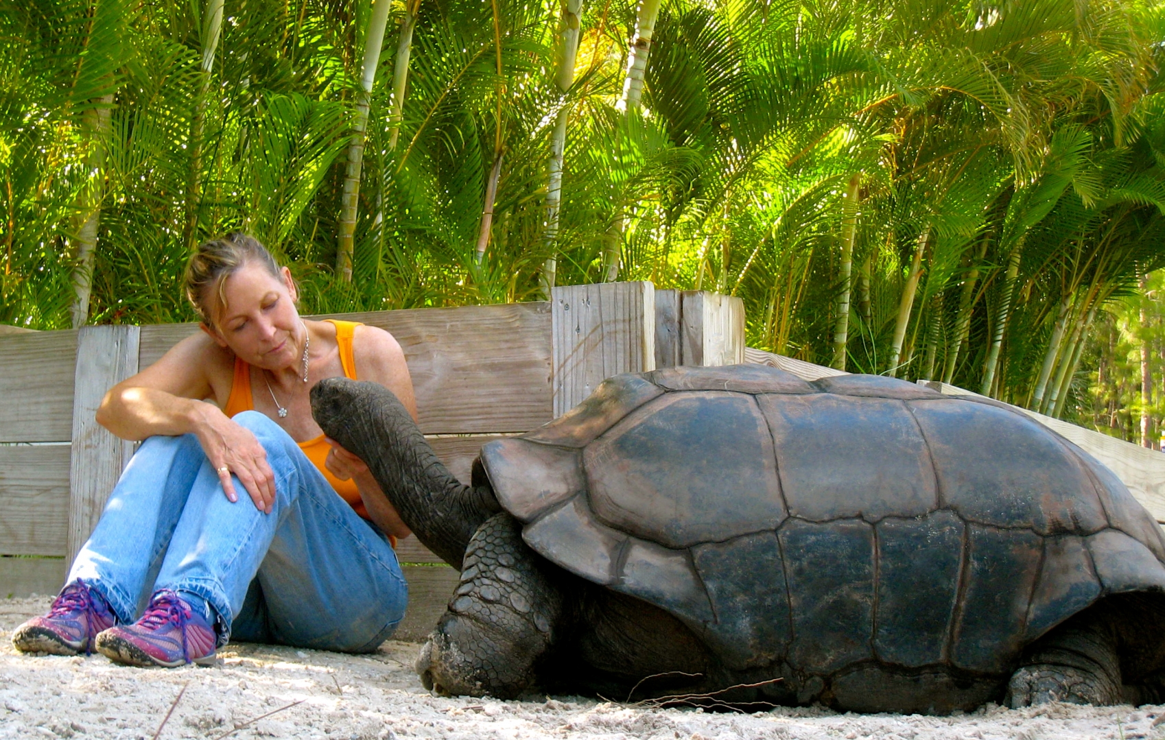 ALDABRA BREEDER