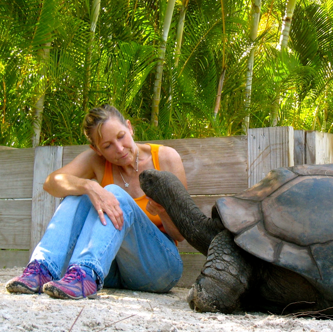ALDABRA BREEDER