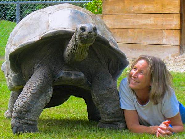 ALDABRA BREEDER