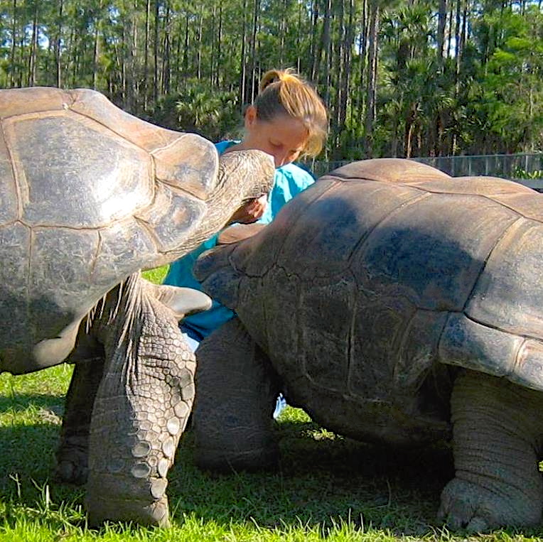 ALDABRA BREEDER