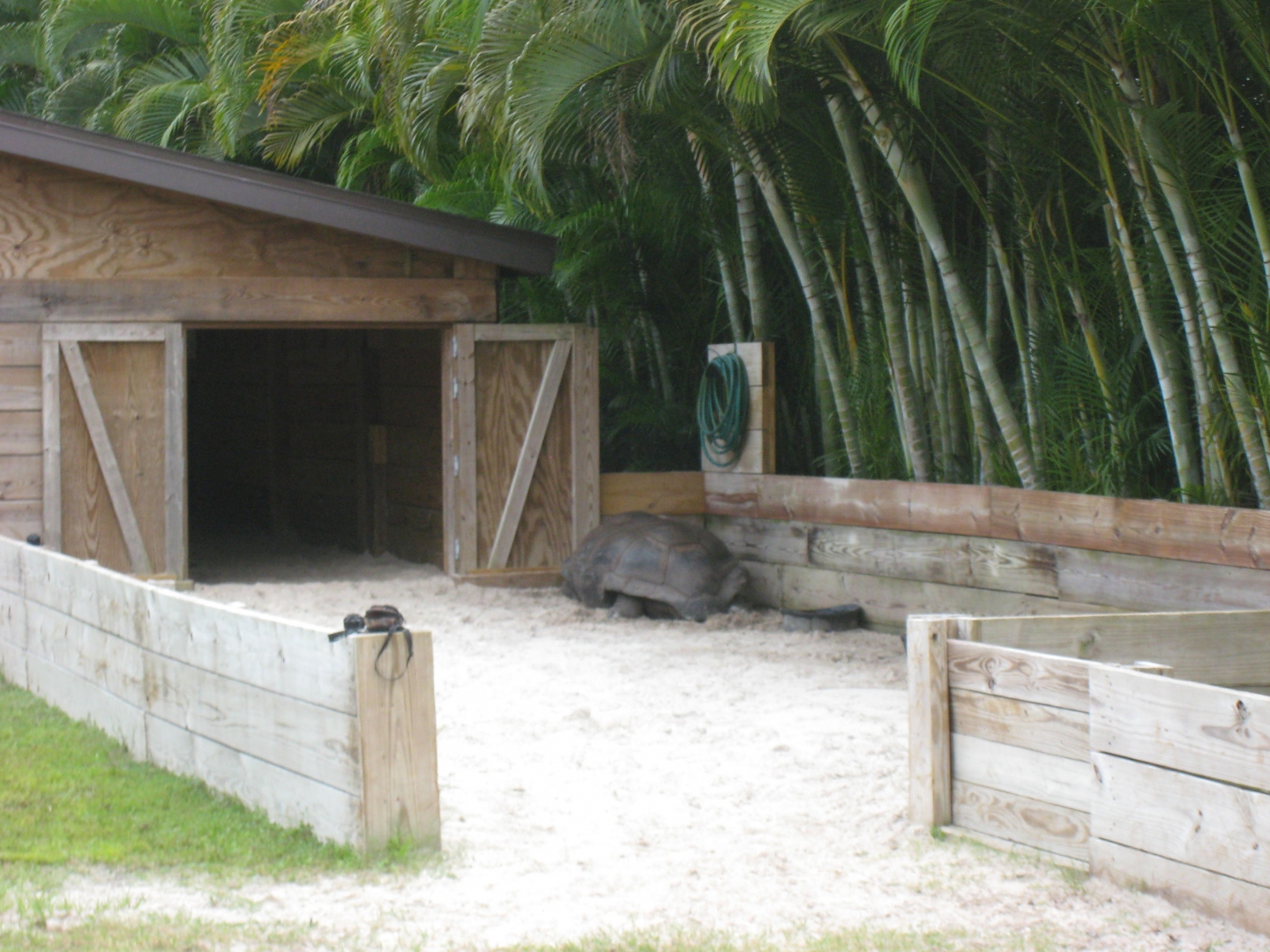 ALDABRA BREEDER