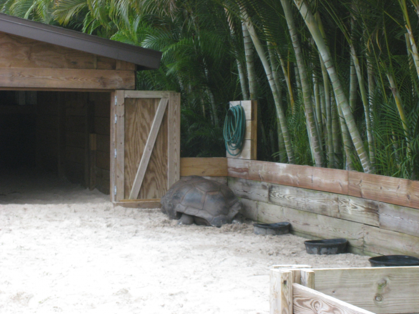 ALDABRA BREEDER