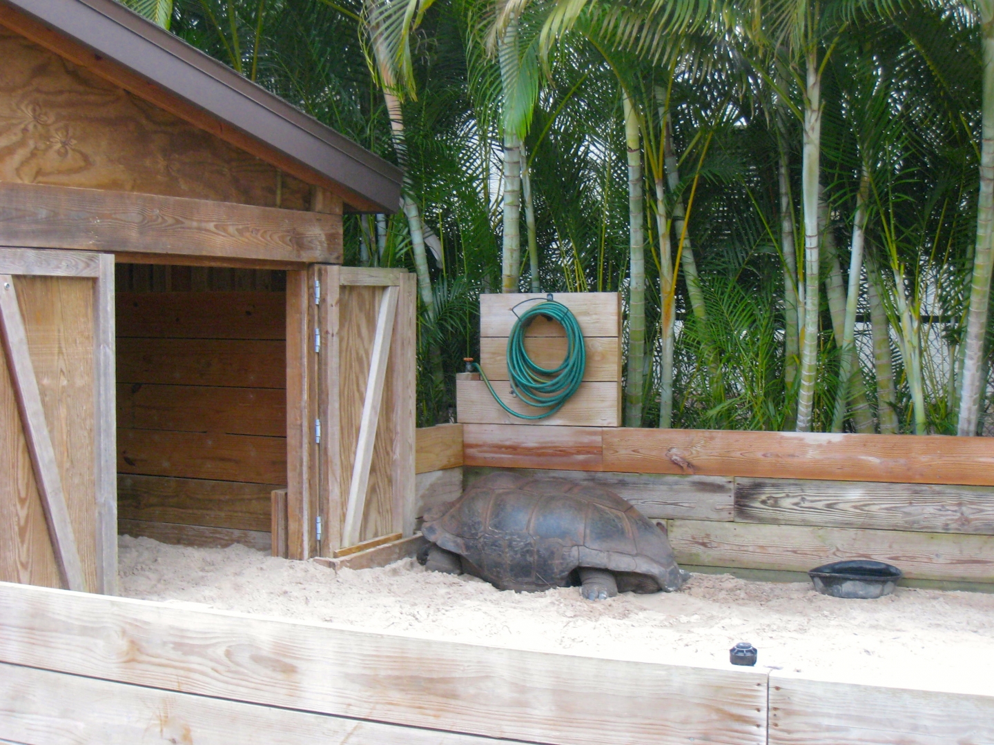 ALDABRA BREEDER