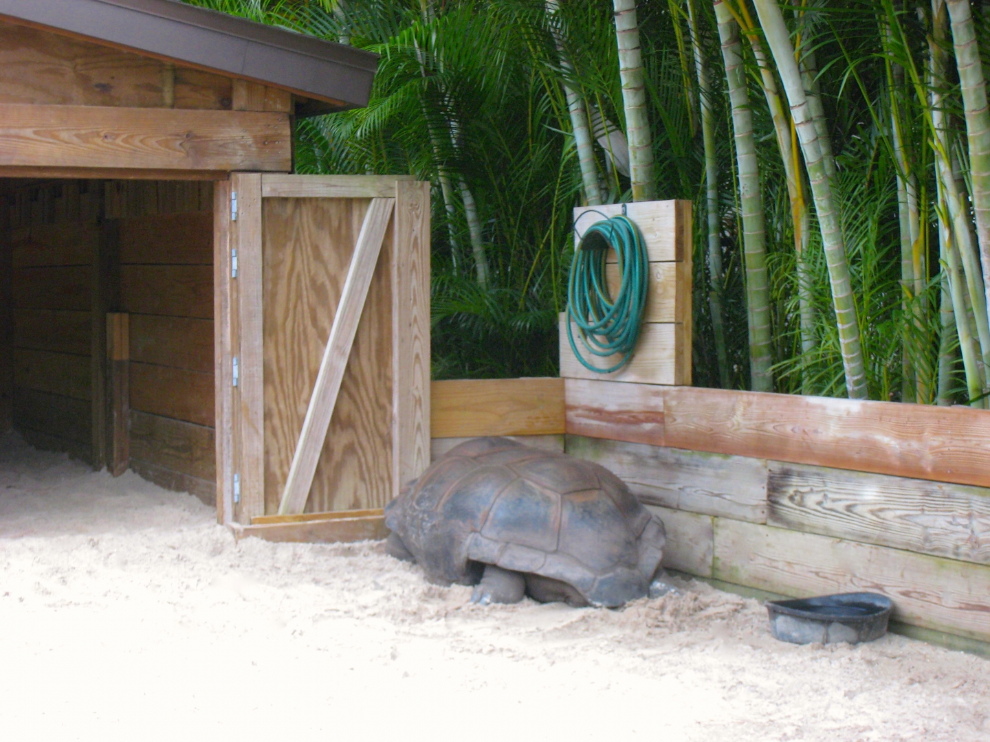 ALDABRA BREEDER
