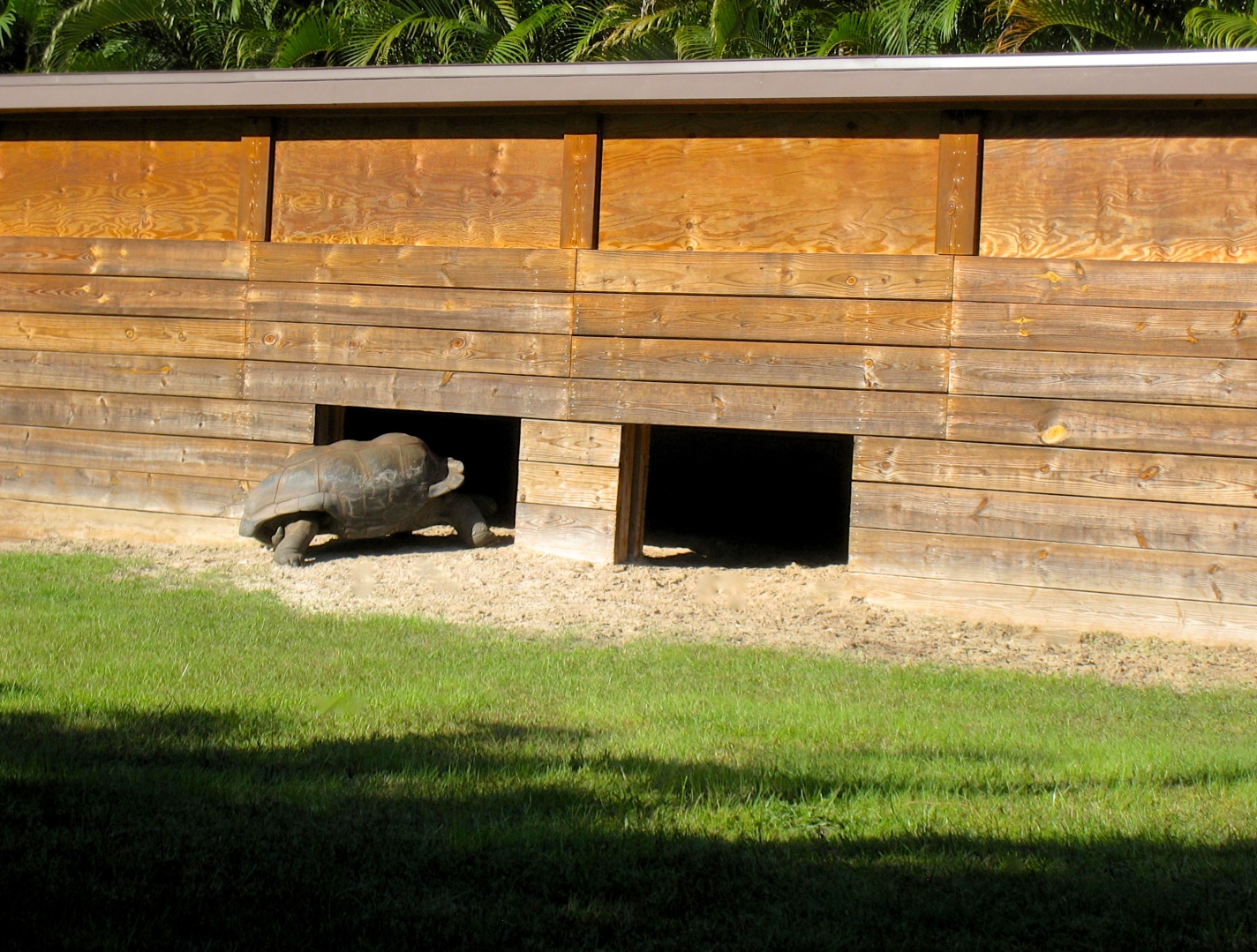 ALDABRA BREEDER