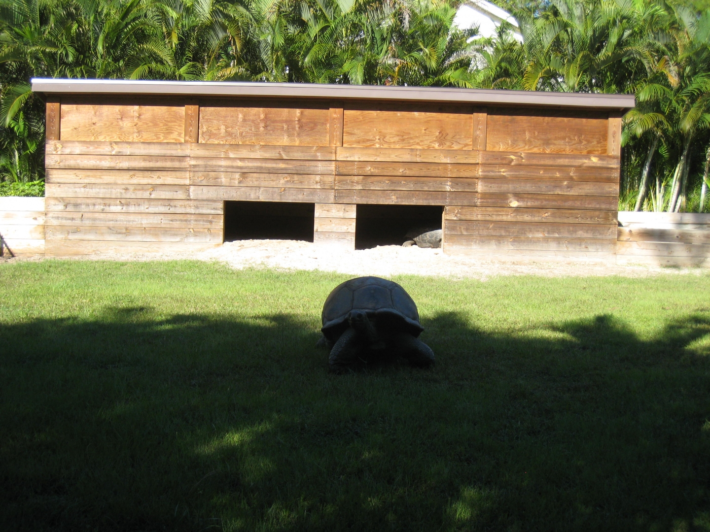 ALDABRA BREEDER