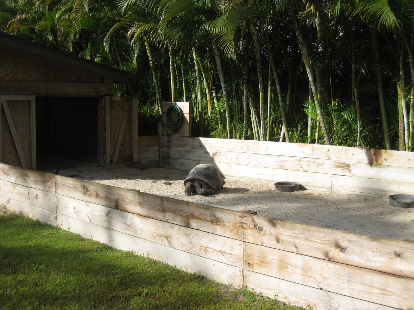 ALDABRA BREEDER