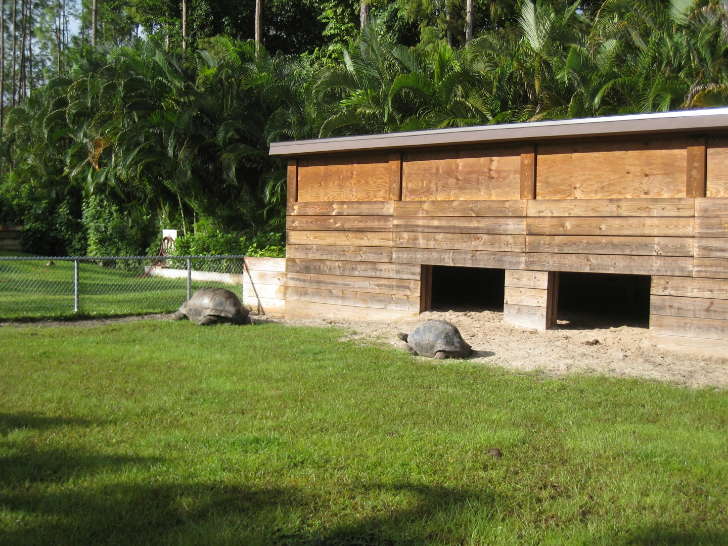 ALDABRA BREEDER