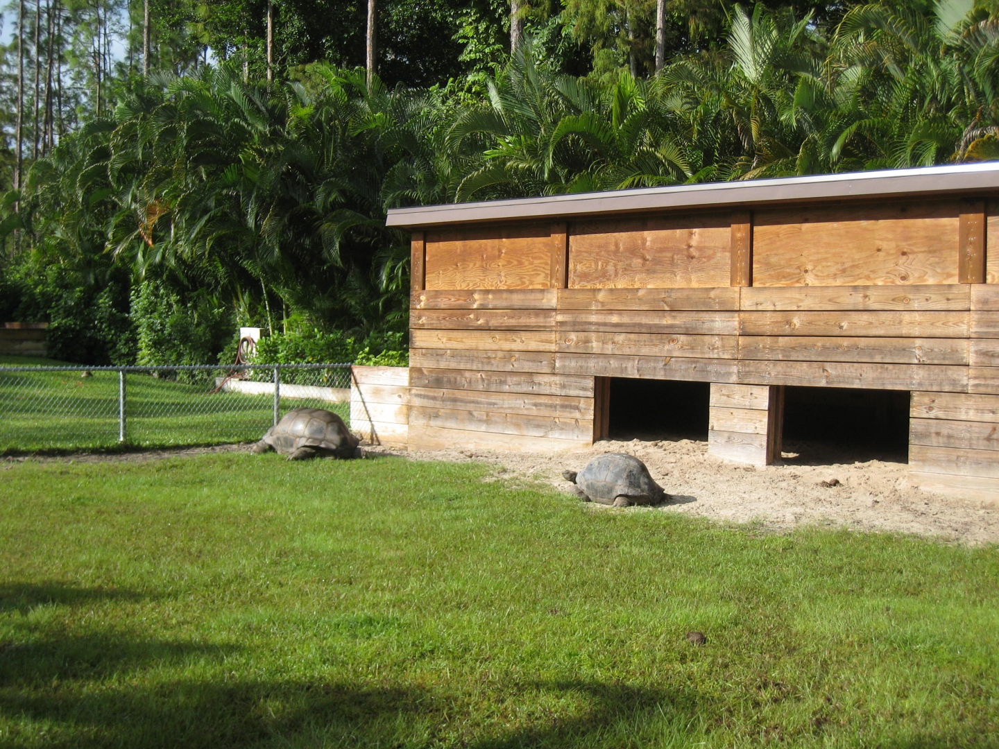 ALDABRA BREEDER